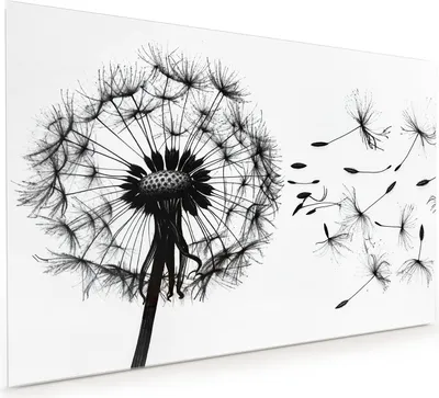 Produktbild von Küchenrückwand Spritzschutz Glas mit Motiv Pusteblume 40 x 40 cm