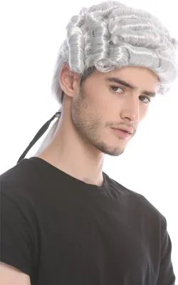 Produktbild von WIG ME UP Barocke Herren Perücke Edelmann Zopf Grau DH1126-ZA63A
