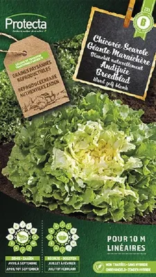 Productafbeelding van Protecta Groente zaden: Andijvie Breedblad