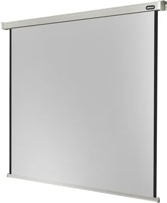 Produktbild von celexon elektrische Rolloleinwand Professional Motor 1:1, 180 x 180 cm Projektionsfläche
