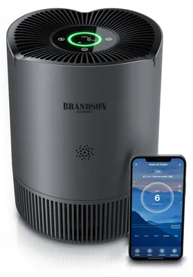 Produktbild von WLAN 50 m² Sieger 2026 sehr leise Schlafmodus Air Purifier WiFi Smart Home mit App HEPA Aktivkohle Tierhaare Pollen Schimmel A Luftreiniger 50 M²