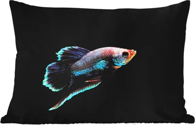Produktbild von MuchoWow® Outdoor Kissen - Fische - Tiere - Licht - 50x30 cm - Wetterfest - Lounge Kissen - Sofa kissen - Wohnzimmer Dekoration