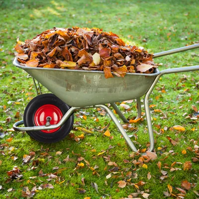 Produktbild von 4 x Schubkarrenrad 4.80 4.00-8, Vollgummireifen und Stahlfelge, Ersatzrad pannensicher, 100kg Traglast, schwarz-rot