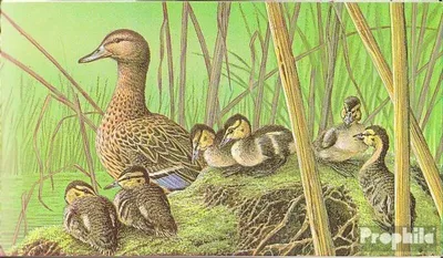 Produktbild von Briefmarken Belgien 1989 Mi MH30 (kompl.Ausg.) postfrisch Enten