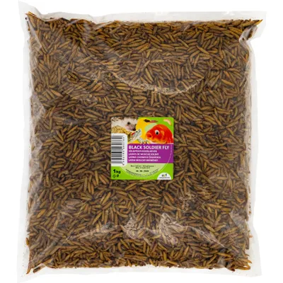 Produktbild von UGF - Soldatenfliegenlarven Hermetia (1 Kg) - 85-mal mehr Kalzium als lebende Mehlwürmer - BSFL Vogelfutter Wildvögel Ganzjährig, Futter für Schildkröten, Ratten, Igel, Hamster