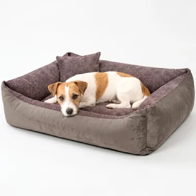Produktbild von 4L Textil TEO Hundekorb mittelgroße Hunde Kuscheliges Hundebett mit Bezug Hundekissen flauschig Hundekörbchen Hundesofa (80x60 cm, Braun)