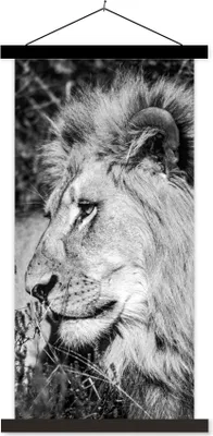 Produktbild von MuchoWow® Textilposter Löwe - Tiere - Wild 60x120 cm mit schwarzem Rahmen - Magnete