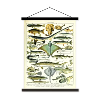 Produktbild von MuchoWow® Textilposter Tiere - Meerestiere - Vintage 40x53 cm mit schwarzem Rahmen - Abbildung