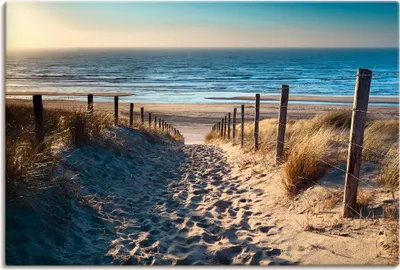 Produktbild von ARTland Leinwandbild Weg zum Nordseestrand Sonnenuntergang Größe: 60x40 cm