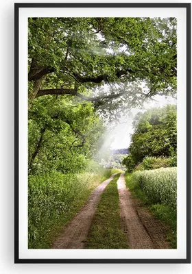 Produktbild von Gerahmtes Poster - Schwarzer Rahmen - Pfad Natur Wald Grün - 61x91,5 cm - Wand Bild - Wanddeko - Wandbilder - Kunstposter - Wandposter - Bilderrahmen - Bilder - Kunstdruck - Wandbild - P2BPA61x91-2637