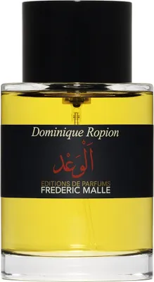 Image de Frederic Malle Dominique Ropion Promise Parfum 100 ml (unisex)
