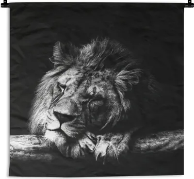 Produktbild von MuchoWow® Wandteppich Wandbehang Löwe - Baum - Schlaf - Schwarz - Weiß 150x150 cm Tapisserie Dekoration Wandtuch - Wohnaccessoires - Modernes