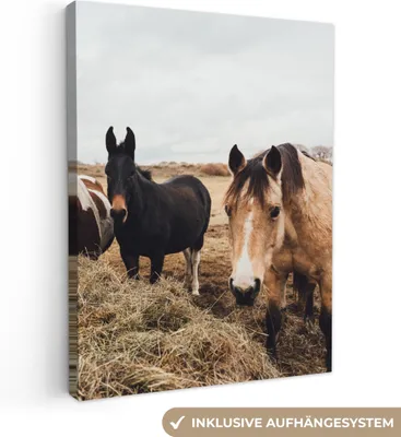 Produktbild von MuchoWow® - Leinwandbilder - Tiere - Pferd, Wandbild, Wanddeko Bilder Wohnzimmer, 90x120 cm
