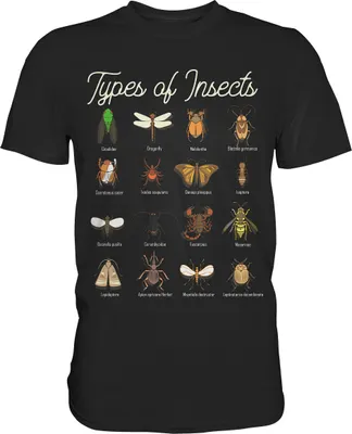 Produktbild von Entomologe Käfersammler Insektenkunde T-Shirt – Black / 3XL