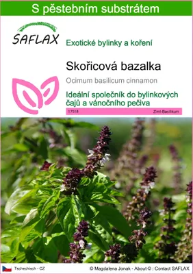 Obrázek produktu pro SAFLAX - Skořicová bazalka - Ocimum basilicum cinnamon - 200 Semena - S pěstebním substrátem bez klíčků
