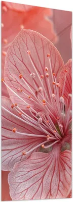 Produktbild von Glasbild 50x125cm in XXL für Wohnzimmer, Schlafzimmer Motiv Blumenpracht