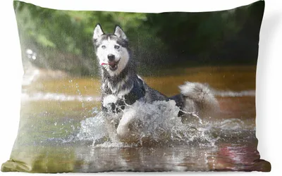 Produktbild von MuchoWow® Outdoor Kissen - Husky im Wasser - 50x30 cm - Wetterfest - Lounge Kissen - Sofa kissen - Wohnzimmer Dekoration