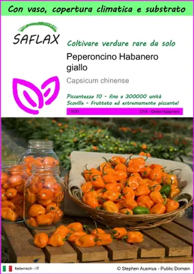 Immagine prodotto di SAFLAX Garden to go - Peperoncino Habanero giallo - 10 semi - Capsicum