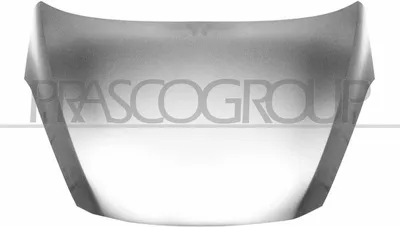 Produktbild von PRASCO FD3483130 Motorhaube für FORD Fiesta Mk7 Schrägheck