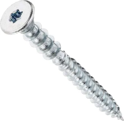 A single silver screw is shown against a white background.