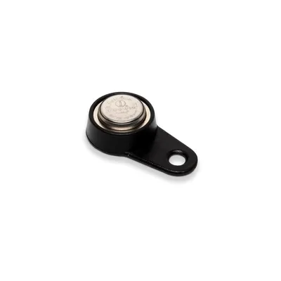 Produktbild von Magnetischer iButton Key für CZ0M 120C Lesegerät, Flottenmanagement