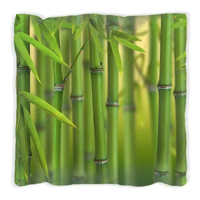 Produktbild von Wallario Premium Kissen, weiche Oberfläche, mit Motiv Grüner Bambuswald, Größe: 40 x 40 cm, mit weißer Rückseite