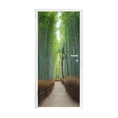 Obrázek produktu pro MuchoWow® Plakát na dveře - Bambus - stezka - les - 215x95 cm - Samolepicí fólie na dveře