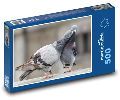 Obrázok produktu pre martinpuzzle - Puzzle 500 - Holuby - vtáky