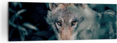 Produktbild von Bild auf Leinwand - Leinwandbild - Einteilig - Wolf Wald Raubtier - 160x50cm - Wand Bild - Wanddeko - Wandbilder - Leinwanddruck - Bilder - Wanddekoration - Leinwand bilder - Wandbild - AB160x50-5053