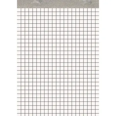 Zdjęcie produktu dla LANDRÉ 100050636 Notizblock ohne Deckblatt DIN A5 50 Blatt kariert