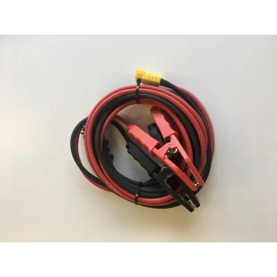Image de Cordon de charge 5,0m avec bornes pour