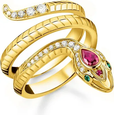 Obrázek produktu pro Thomas Sabo  TR2305-488-7-58