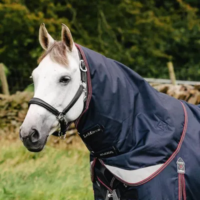 Image de LeMieux Kudos Turnout Neck Cover 100g - Taille S