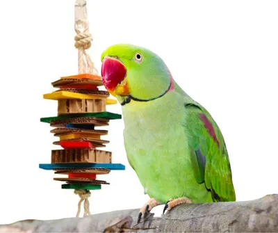 Immagine prodotto di Mishmash Medium - Un giocattolo colorato e naturale per pappagalli di piccola e media taglia