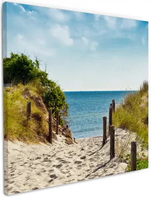Produktbild von Wallario Premium Leinwandbild Auf dem Sandweg zum Strand in Größe 50 x 50 cm