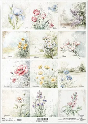 Produktbild von ITD Reispapier Decoupage Bastelpapier Serviettentechnik-R2604 Blumen, Mohn, Kornblume, Iris, Tulpe, Flieder, Narzisse, Primeln, Freesie