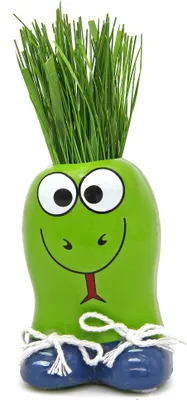 Produktbild von Anzuchtset Munakuppi Schlange | Anzuchtsets von Buzzy Gifts