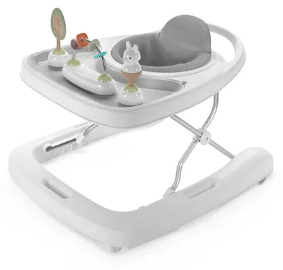 Produktbild von Ingenuity, Step & Sprout 3-in-1 Baby Lauflernhilfe, First Forest, Lauflernwagen