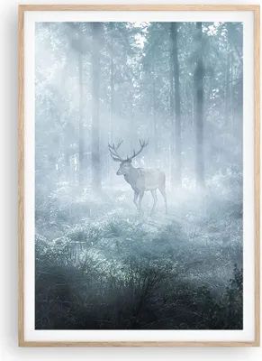 Produktbild von Gerahmtes Poster - Rahmen in heller Eiche - Hirsch Wald Morgendämmerung - 70x100 cm - Wand Bild - Wanddeko - Wandbilder - Kunstposter - Wandposter - Bilderrahmen - Bilder - P2NPA70x100-4667