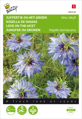 Produktbild von Jungfer im Grünen Miss Jekyll blau | Jungfer im Grünen Samen von Buzzy Seeds