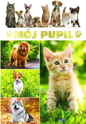 Produktbild von Mój pupil. Książka dla dzieci