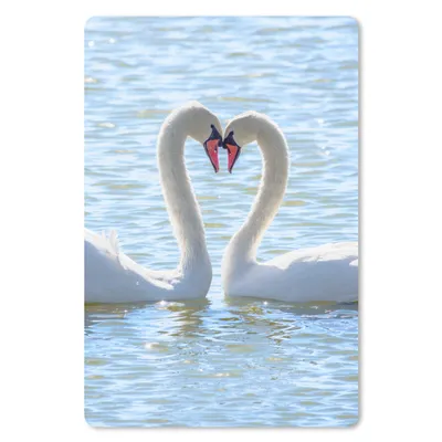 Produktbild von MuchoWow® Mauspad Mousepad Vögel - Schwan - Wasser - Liebe - Sonne 18x27 cm - Mousepads - Maus Mat - Pad - Mausunterlage