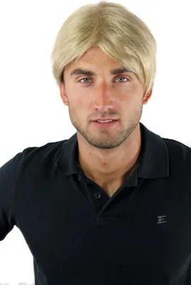 Produktbild von WIG ME UP Perücke Herren cool blond GFW933-24