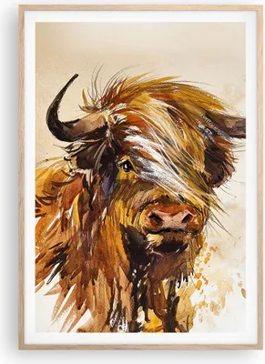 Produktbild von Gerahmtes Poster - Rahmen in heller Eiche - Stier Scotch Aquarell - 70x100 cm - Wand Bild - Wanddeko - Wandbilder - Kunstposter - Wandposter - Bilderrahmen - Bilder - Kunstdruck - P2NPA70x100-4708
