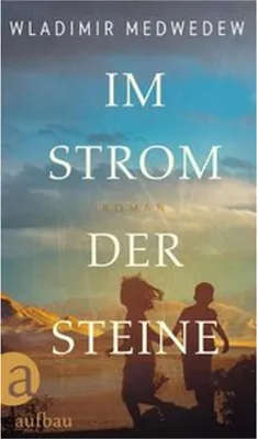 Produktbild von Im Strom der Steine