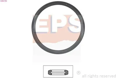 Produktbild von EPS Dichtung Thermostat 1.890.703