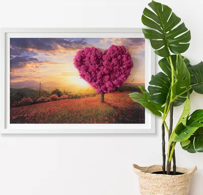 Produktbild von Moosbild mit Echtem Isländisch Moos - 60x40 cm - Weißer MDF-Rahmen - Herzförmiger Baum