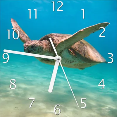 Produktbild von Wallario Design Wanduhr Meeresschildkröte aus Echtglas, Größe 20 x 20 cm
