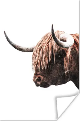 Produktbild von MuchoWow® Poster Schottische Hochlandrind - Tiere - Kühe 60x90 cm - Wanddekoration