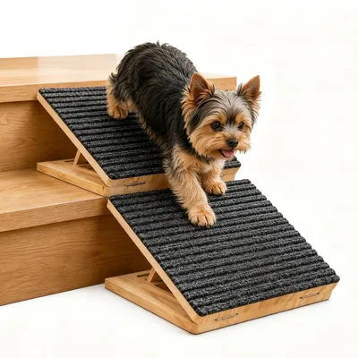 Immagine prodotto di Scala per cani, set di 2 pezzi, antiscivolo e pieghevole, ideale per cani di piccola taglia e anziani, fino a 45 kg